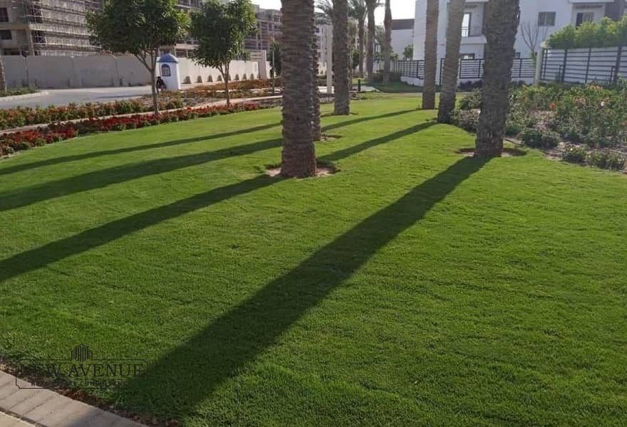 8 b6fd072d-0857-41cd-b945-9b29aa735abc. jpg