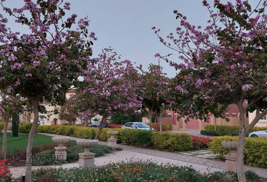 9 de69345c-9a14-4392-bd8f-ff39d76c5cad. jpg