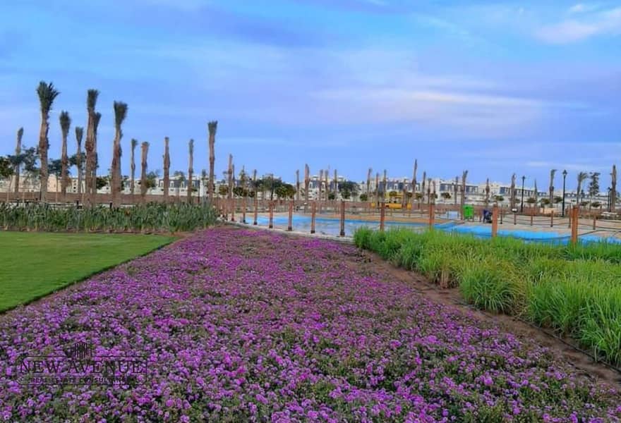 12 f6444263-e51e-472d-9d76-521e2003c7c2. jpg