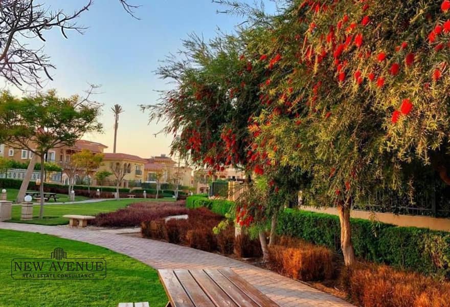 13 d1b19fe4-3aec-471b-ae8e-41dade192b56. jpg