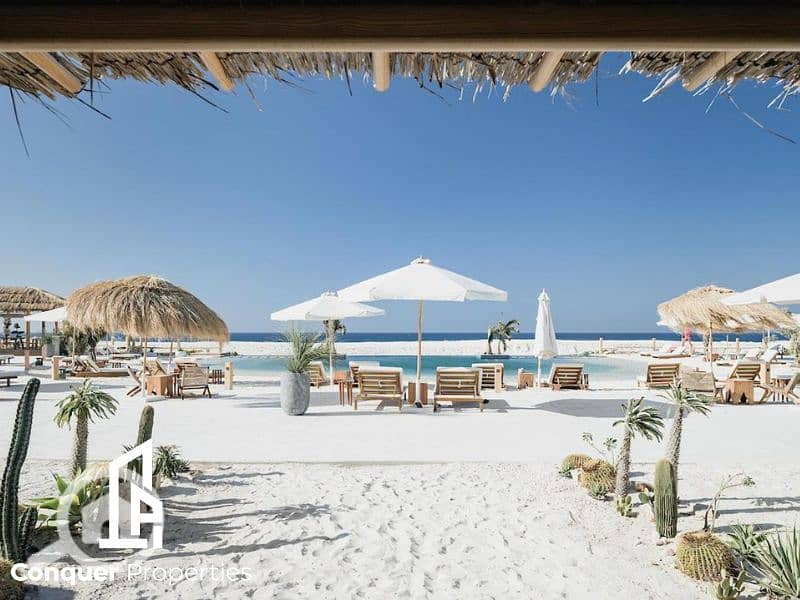 10 Untitled design - 2023-07-26T170214.393 (2). png