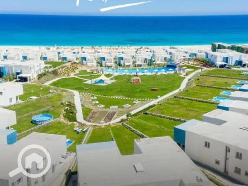 12 Untitled design - 2023-09-10T132523.970. png