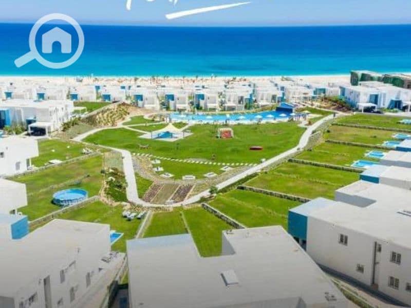 11 Untitled design - 2023-09-10T132523.970. png