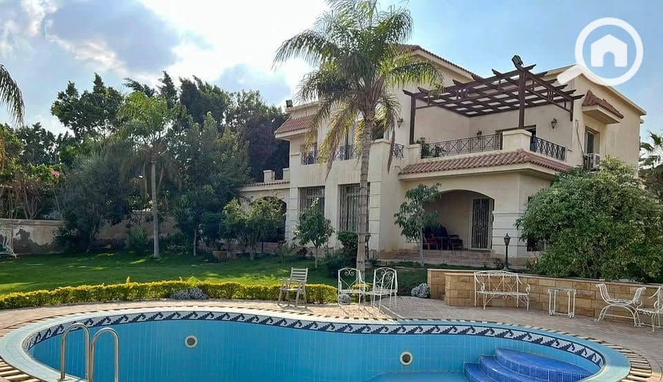 8 568212712_122121038102986708_8530105834869910442_n. jpg