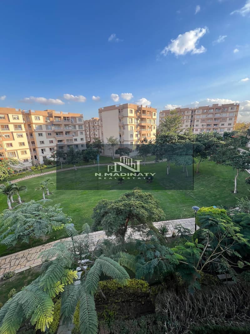 IMG_2365. jpeg IMG_2365. jpeg