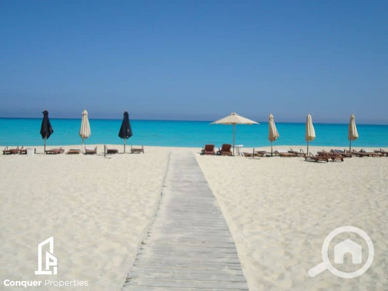 10 Untitled design - 2023-07-26T151156.238. png