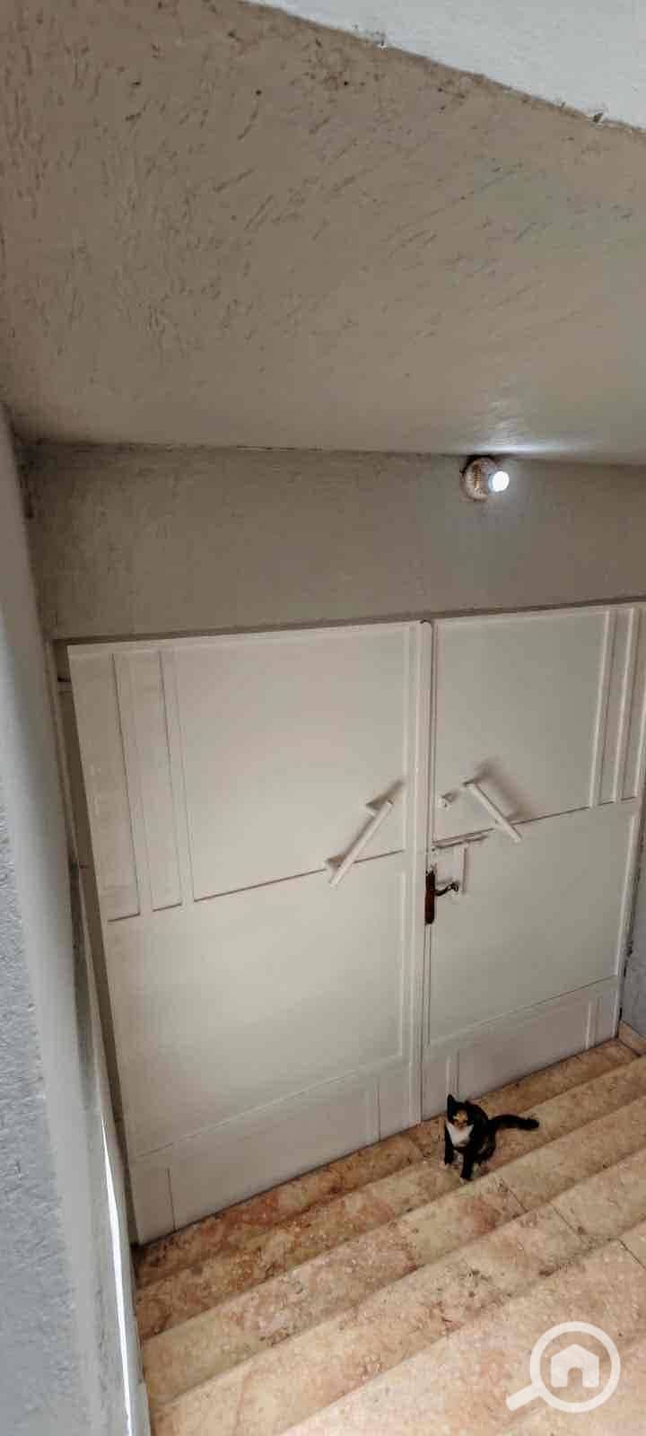 14 66079005-cfb0-4047-910d-edd3ad912e40. jpg