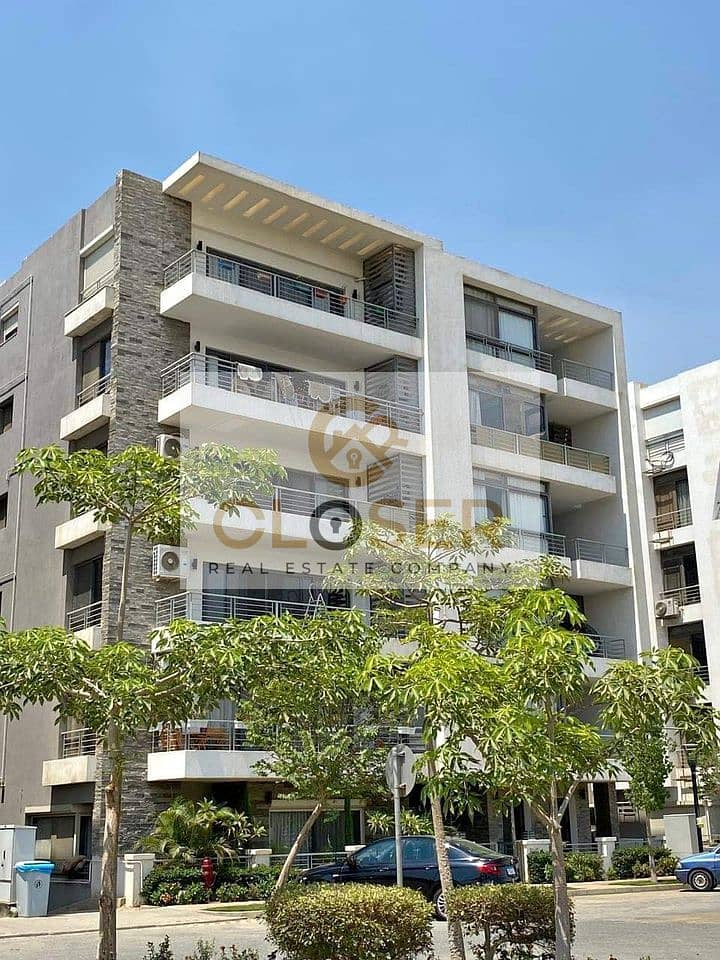 11 449897793_738318124972667_4107553941038081087_n. jpg