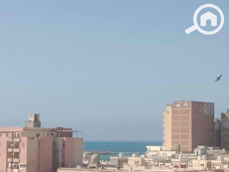 3 4f2974af-3050-4df6-a023-8ad94318dd65. jpg