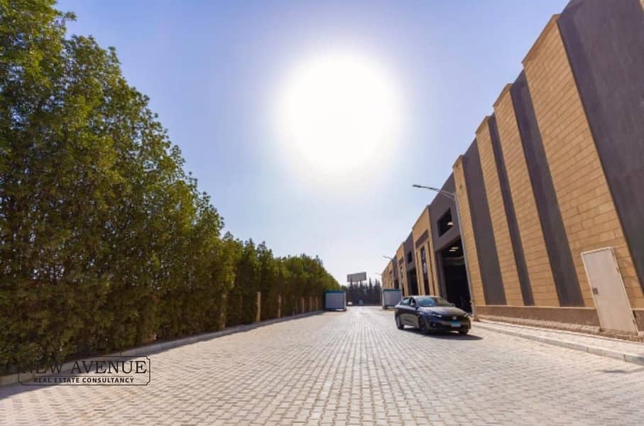 3 WhatsApp Image 2025-12-15 at 2.28. 53 PM (2). jpeg