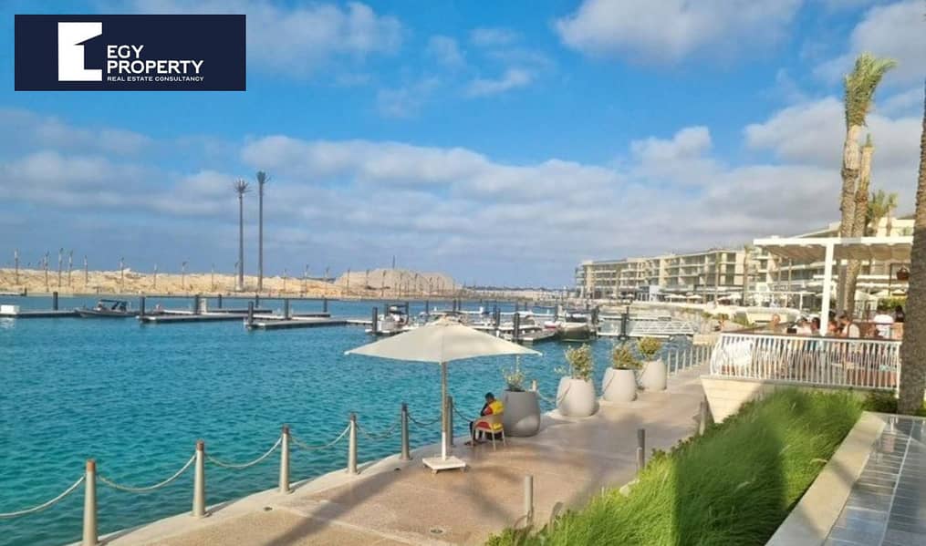 7 WhatsApp Image 2025-12-15 at 23.17. 37_d9a559ed. jpg