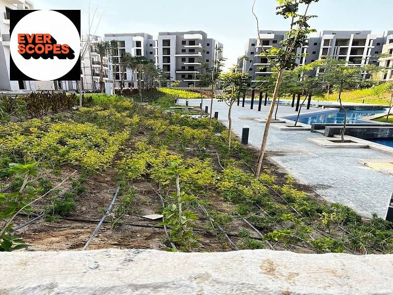 4 WhatsApp Image 2025-12-15 at 14.47. 26_13a6af88. jpg