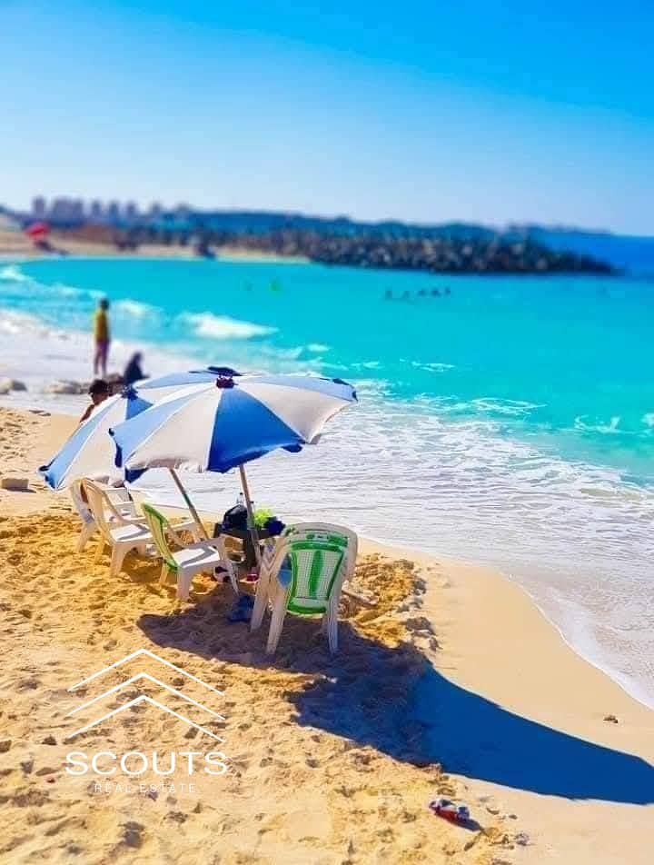 9 508611794_24112114161716843_3974815197621910533_n. jpg