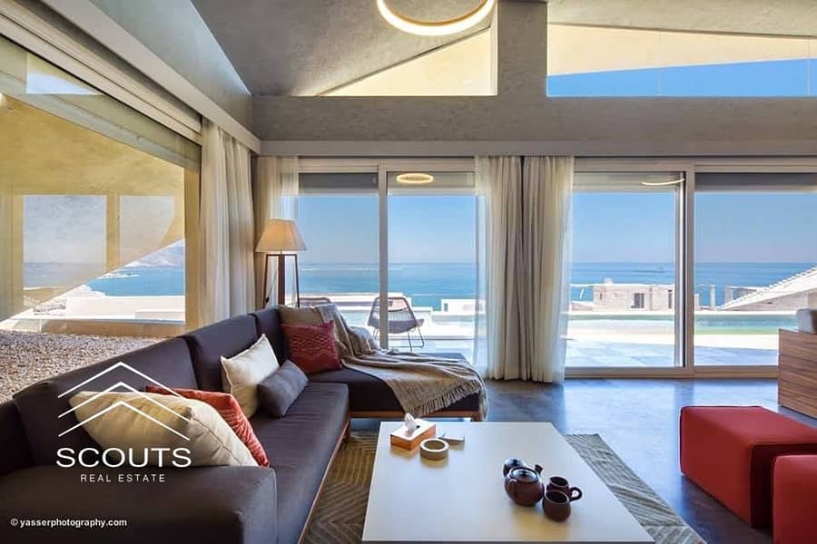 2 84119392_2567453569989560_312224773591531520_n. jpg