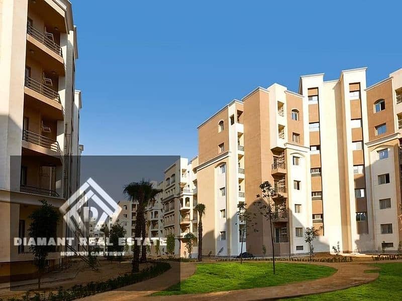 13 312963887_3521590378060538_4859505810147909793_n. jpg