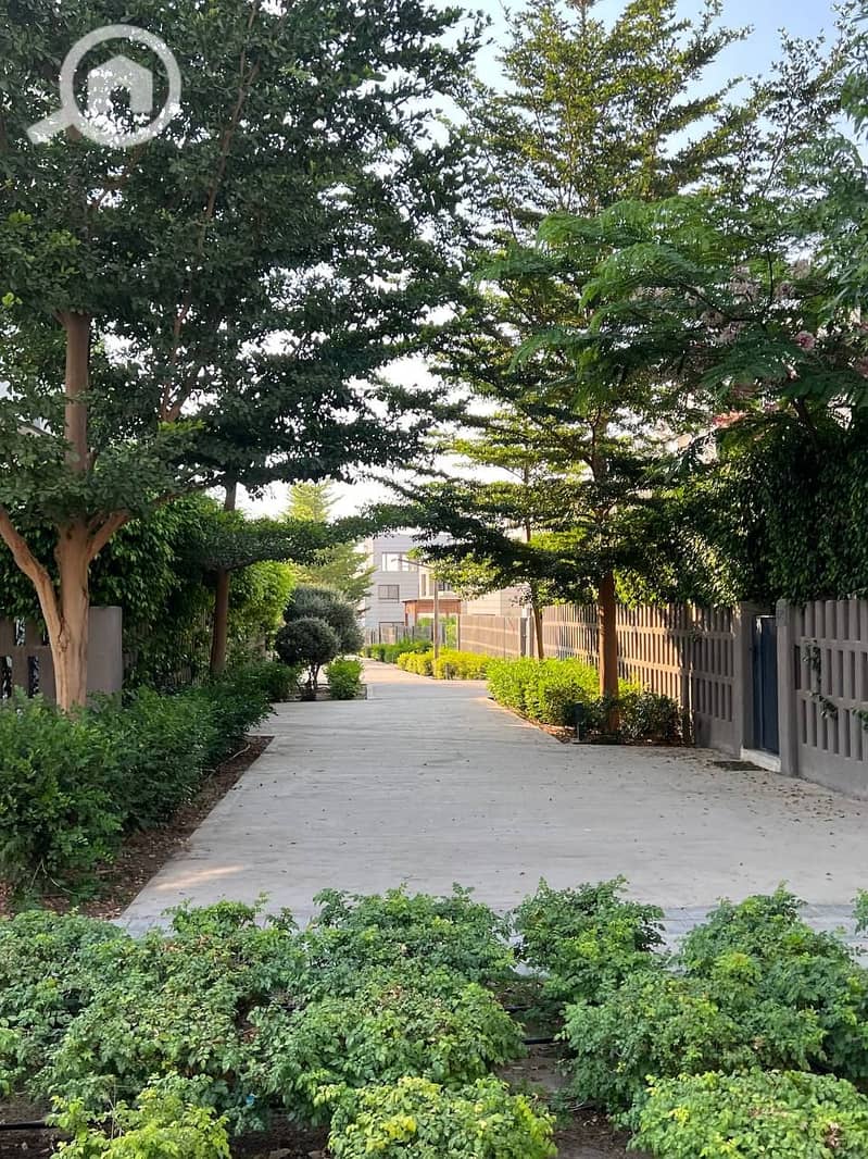 10 photo_2025-07-14_23-09-26. jpg