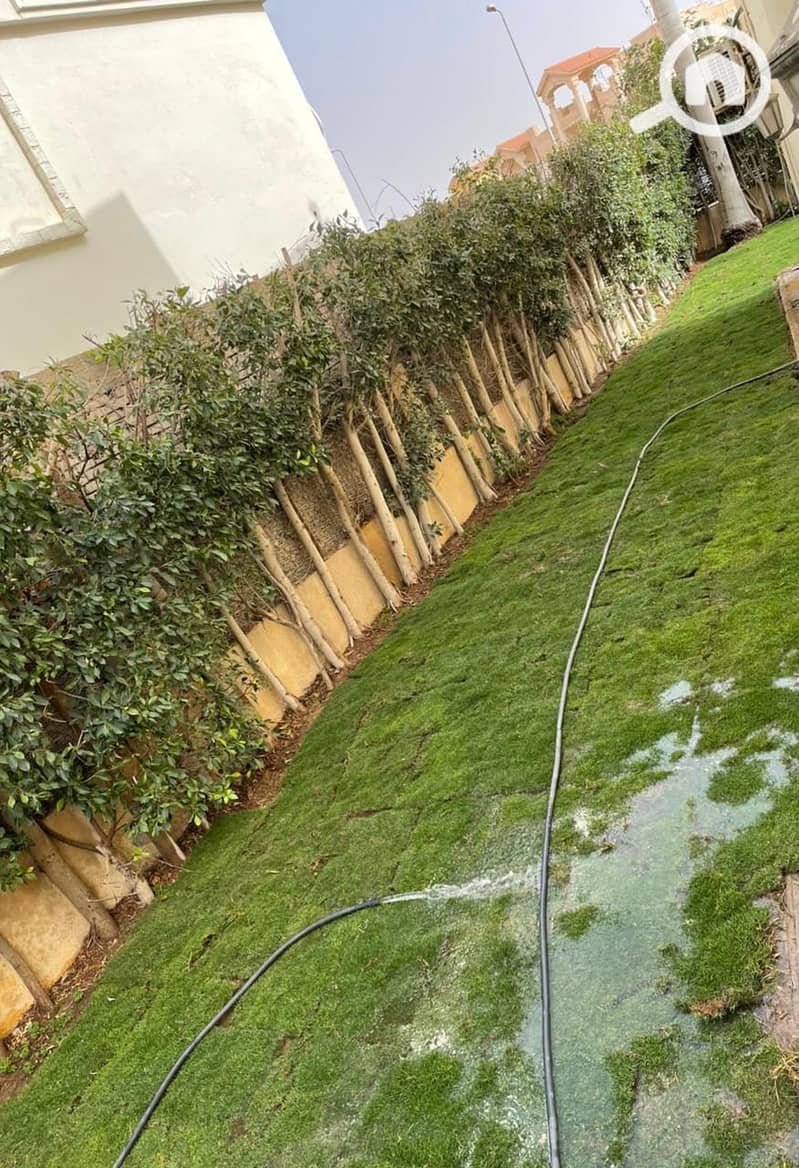 9 WhatsApp Image 2025-04-13 at 4.38. 22 PM (3). jpeg