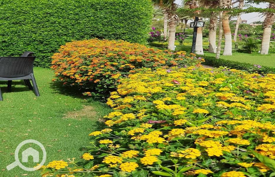 5 WhatsApp Image 2025-12-04 at 1.32. 54 PM. jpeg