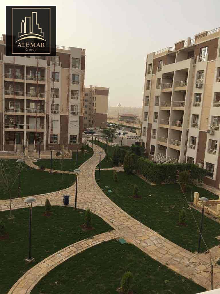 18 3686e5e8-3712-4c3b-9b84-73862ce35295. jpg