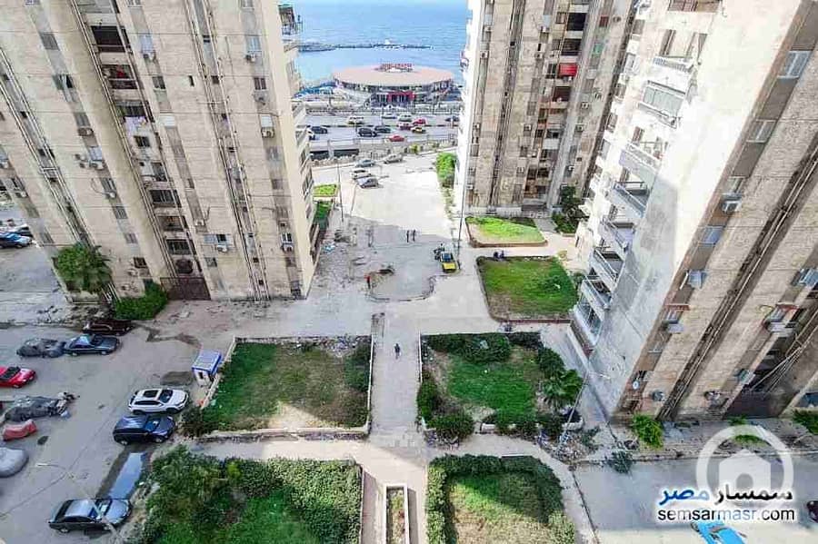 1000391019. jpg 1000391019. jpg