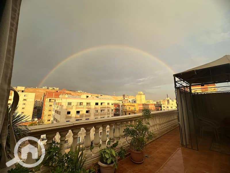 15 WhatsApp Image 2025-12-10 at 3.18. 03 PM (2). jpeg