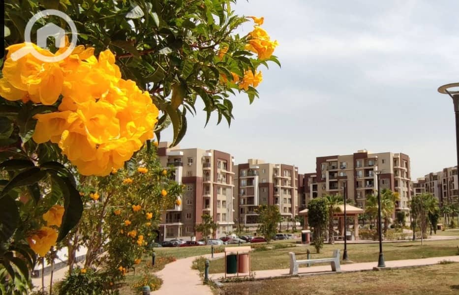 لقطة شاشة 2025-12-16 032225. png لقطة شاشة 2025-12-16 032225. png