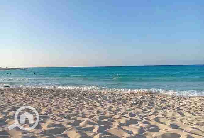 7 1807547-657e7o. webp