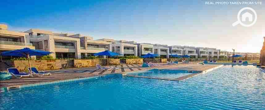 10 images (21). jpeg