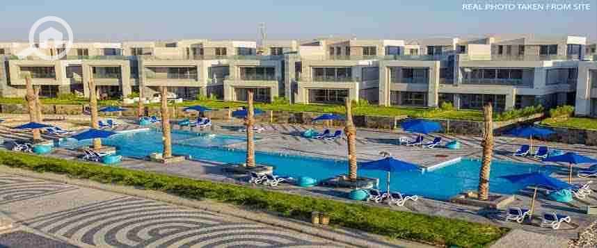 11 images (20). jpeg