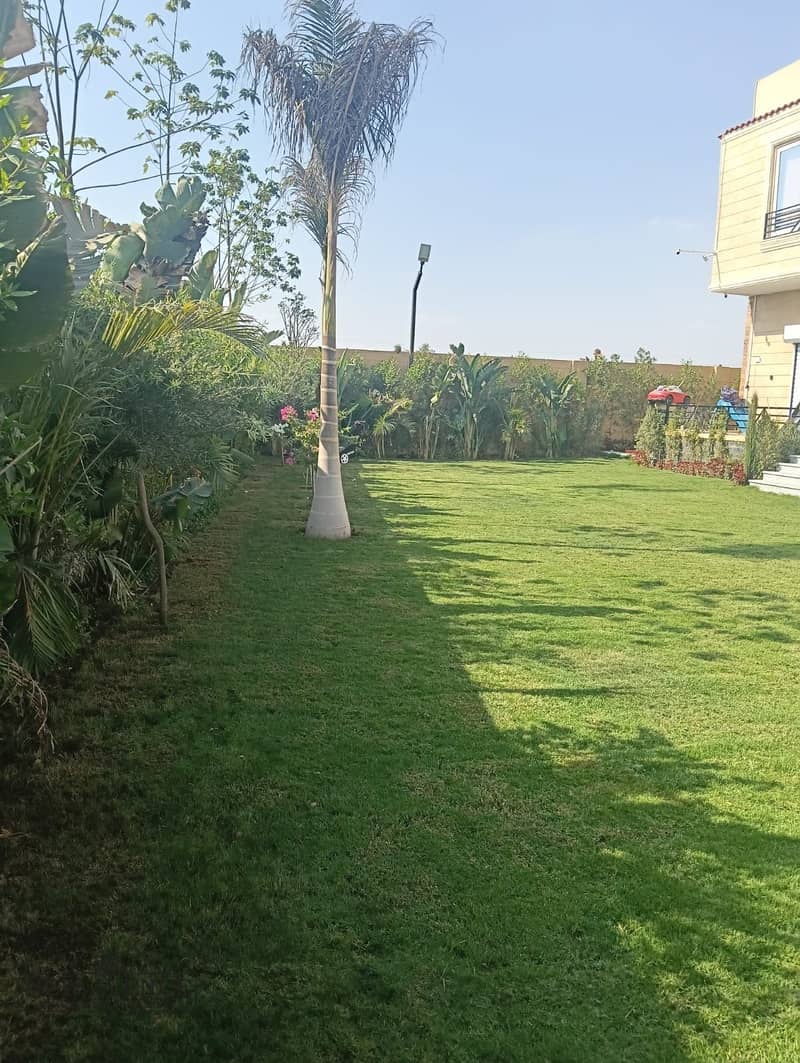 4 WhatsApp Image 2025-12-12 at 9.28. 53 PM. jpeg