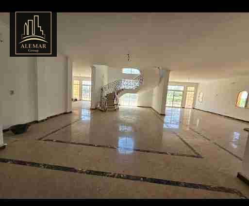 1000499406. jpg 1000499406. jpg