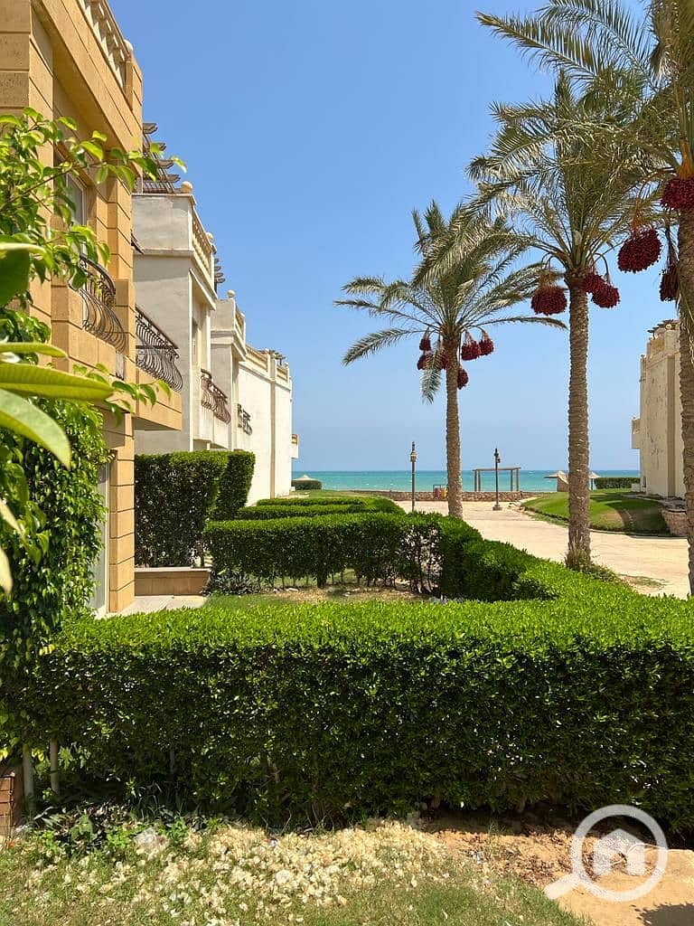 WhatsApp Image 2025-12-11 at 1.56. 57 PM (2). jpeg WhatsApp Image 2025-12-11 at 1.56. 57 PM (2). jpeg