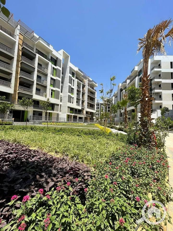 5 547477612_810616388367196_8004237293495031385_n. jpg