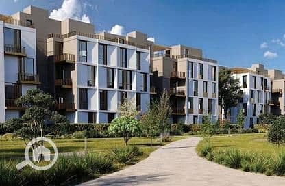 8 5161065-2ef91o. jpg