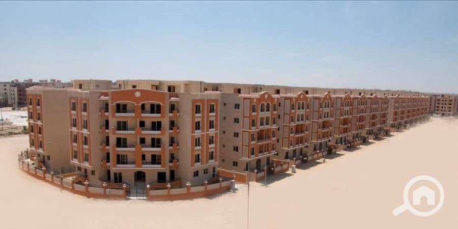 2 photo_1_2025-12-16_11-19-16. jpg