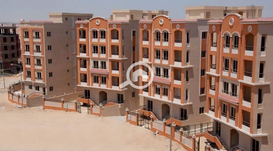 3 photo_3_2025-12-16_11-19-16. jpg