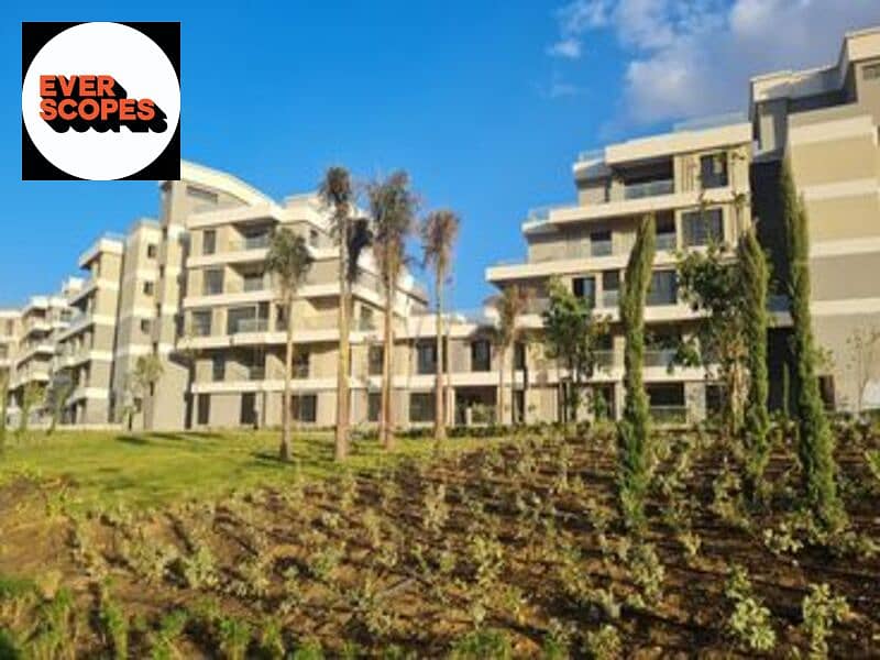 6 63873915d80a4994906599. jpg