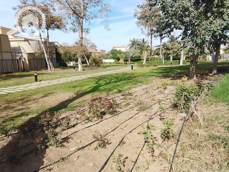 9 34ef0fbd-627b-4ec8-b6a5-e488fd7f37ab. jpeg