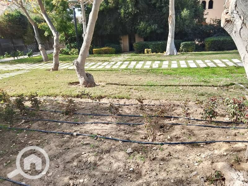 20 a789d576-8601-48ae-9cd4-5cd7fb09ca23. jpeg