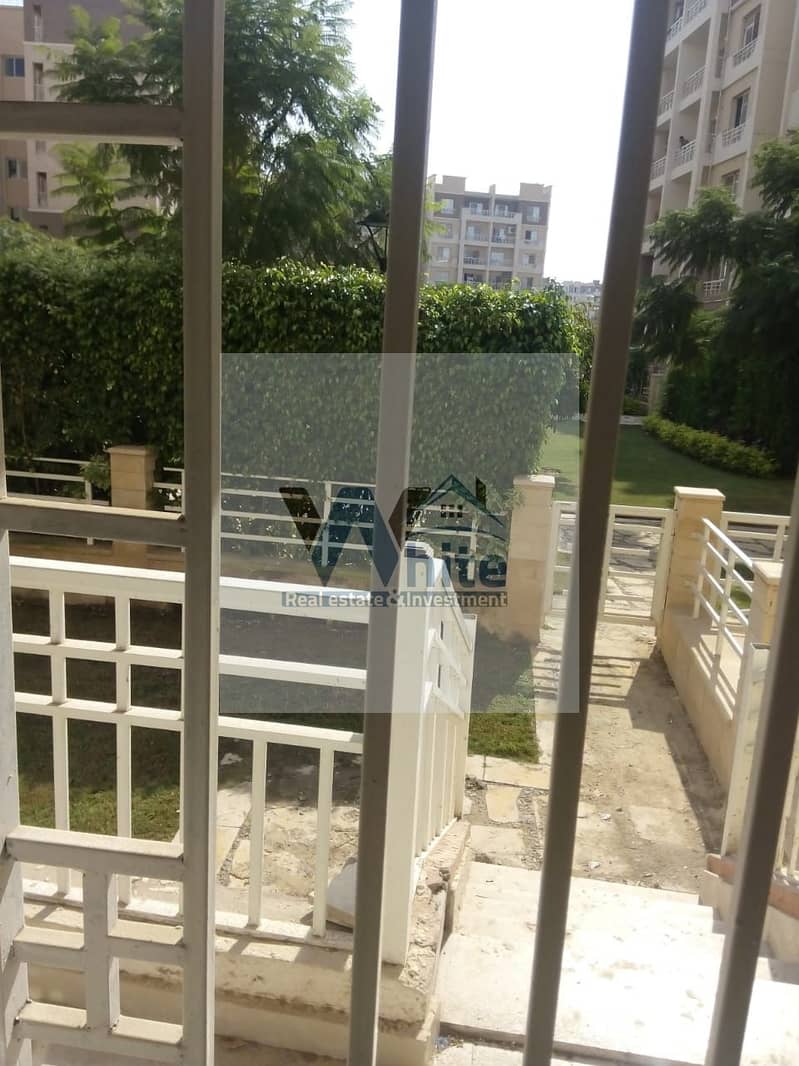 1000236807. jpg 1000236807. jpg