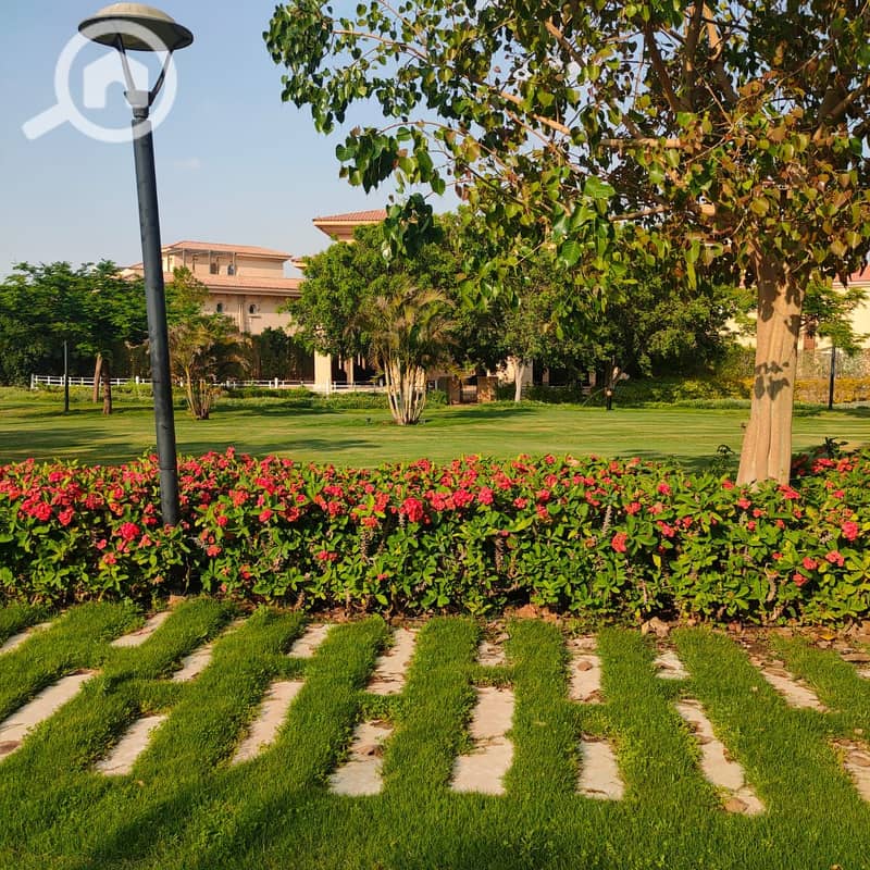 5 d9e38de2-ad0e-48c7-8d7d-d654a36b0de8. jpg