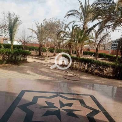 Commercial Building for Rent in 6th of October, Giza - 1000248623. jpg