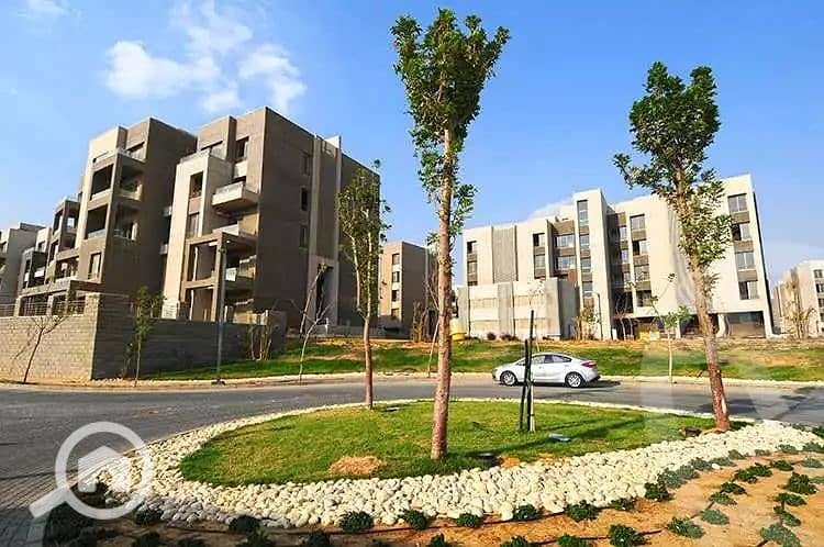 7 6069b033c617a860976710. jpg