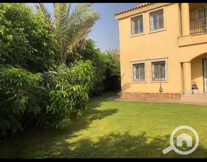 6 82f518bc-290c-42bf-aeff-49a03d1056ef. jpg