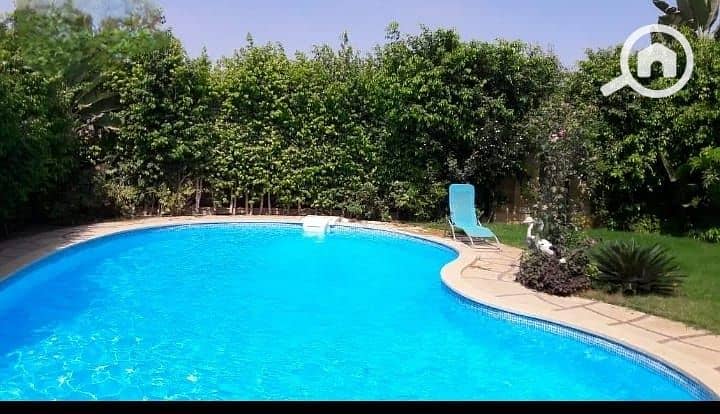 8 91759eb3-9f2c-4272-926a-1836a010297a. jpg