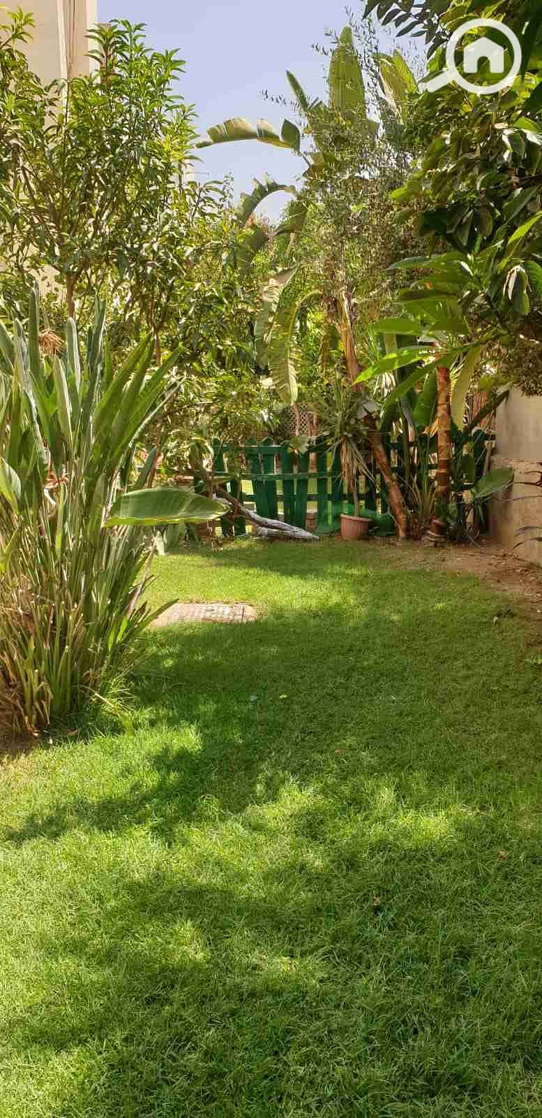 1000768090. jpg 1000768090. jpg