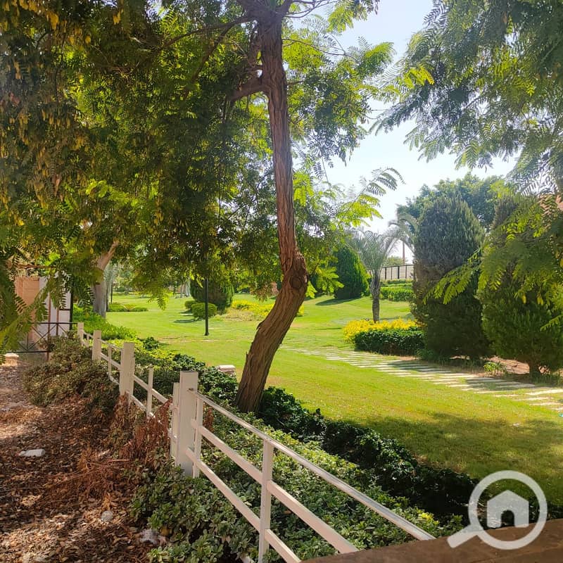 16 صورة واتساب بتاريخ 1446-03-13 في 14.19. 43_d00890cd. jpg