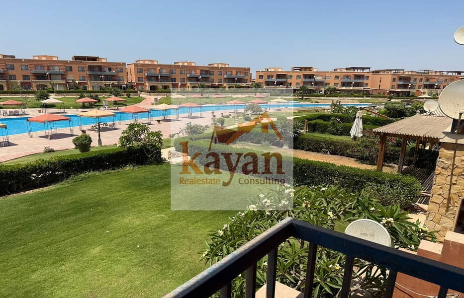 db41aa80-424e-43f2-bd6e-96a512f139a6. jpg db41aa80-424e-43f2-bd6e-96a512f139a6. jpg