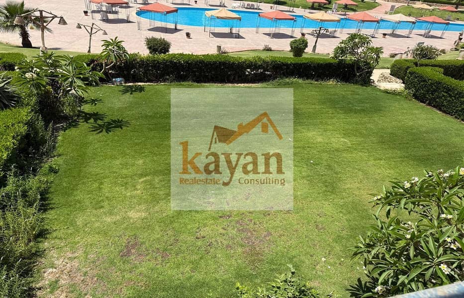 4 c3bb6d89-bb76-4ad5-a43f-fb9441d3ec53. jpg