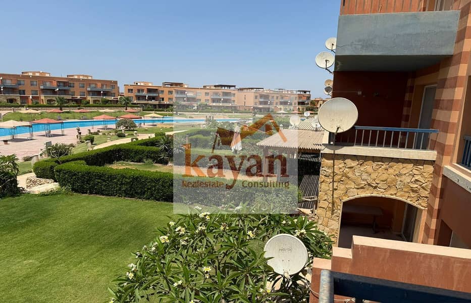 5 ab5cf5f1-2a1f-4edc-877f-0731c32c75e7. jpg